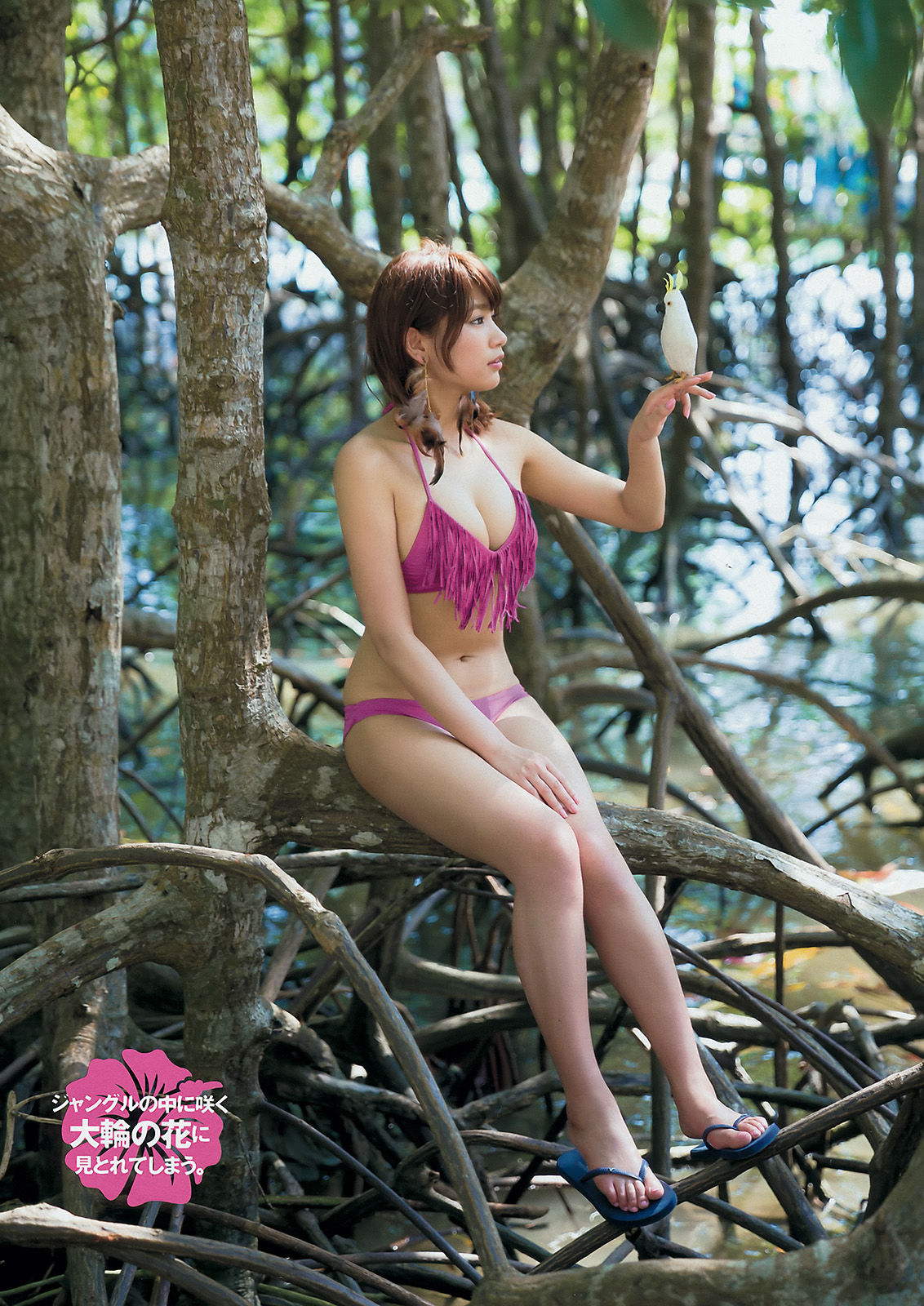 [Young Magazine] 2015年No.26 久松郁実 夏目花実