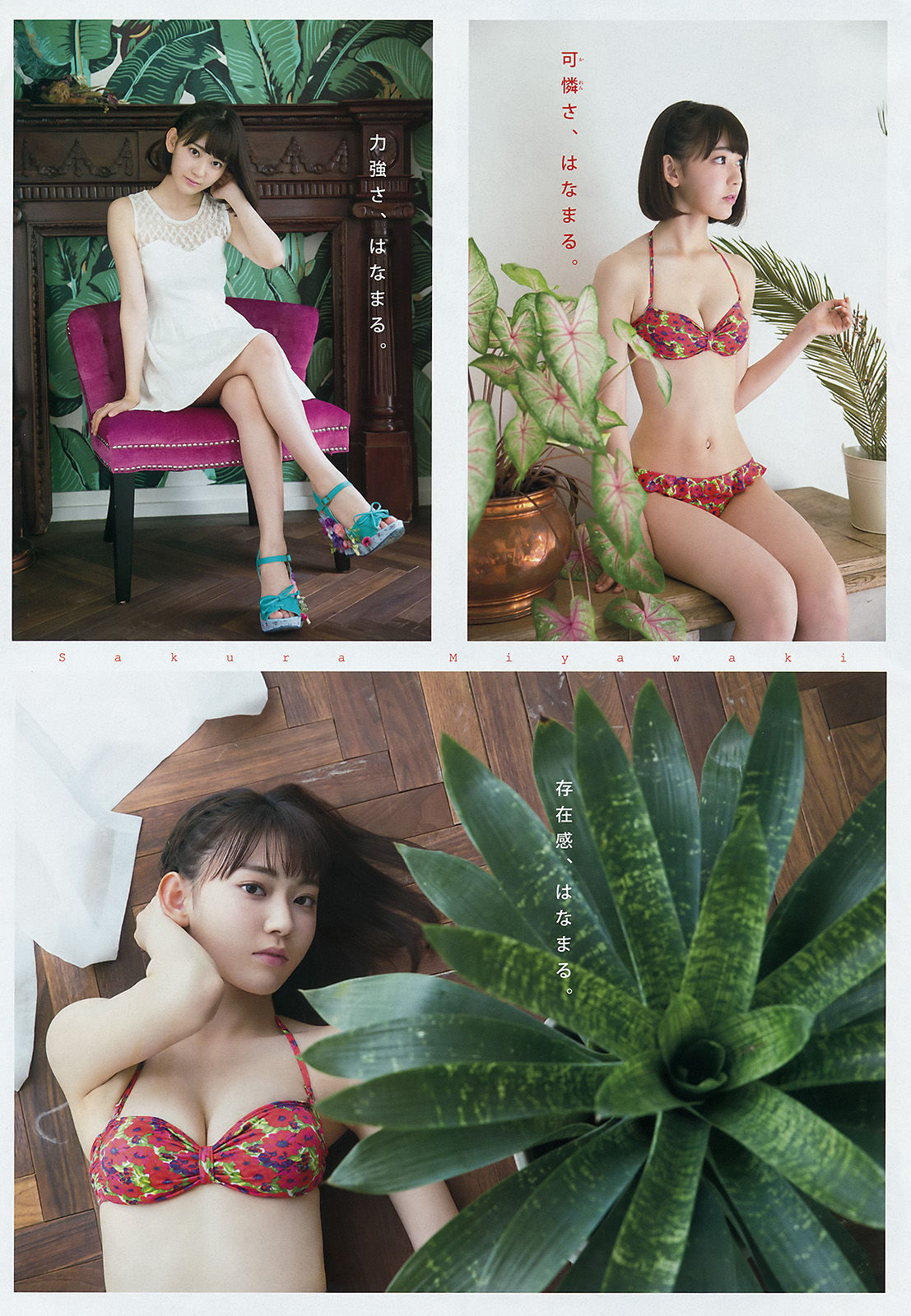 [Young Magazine] 2016年No.41 宮脇咲良 大澤玲美