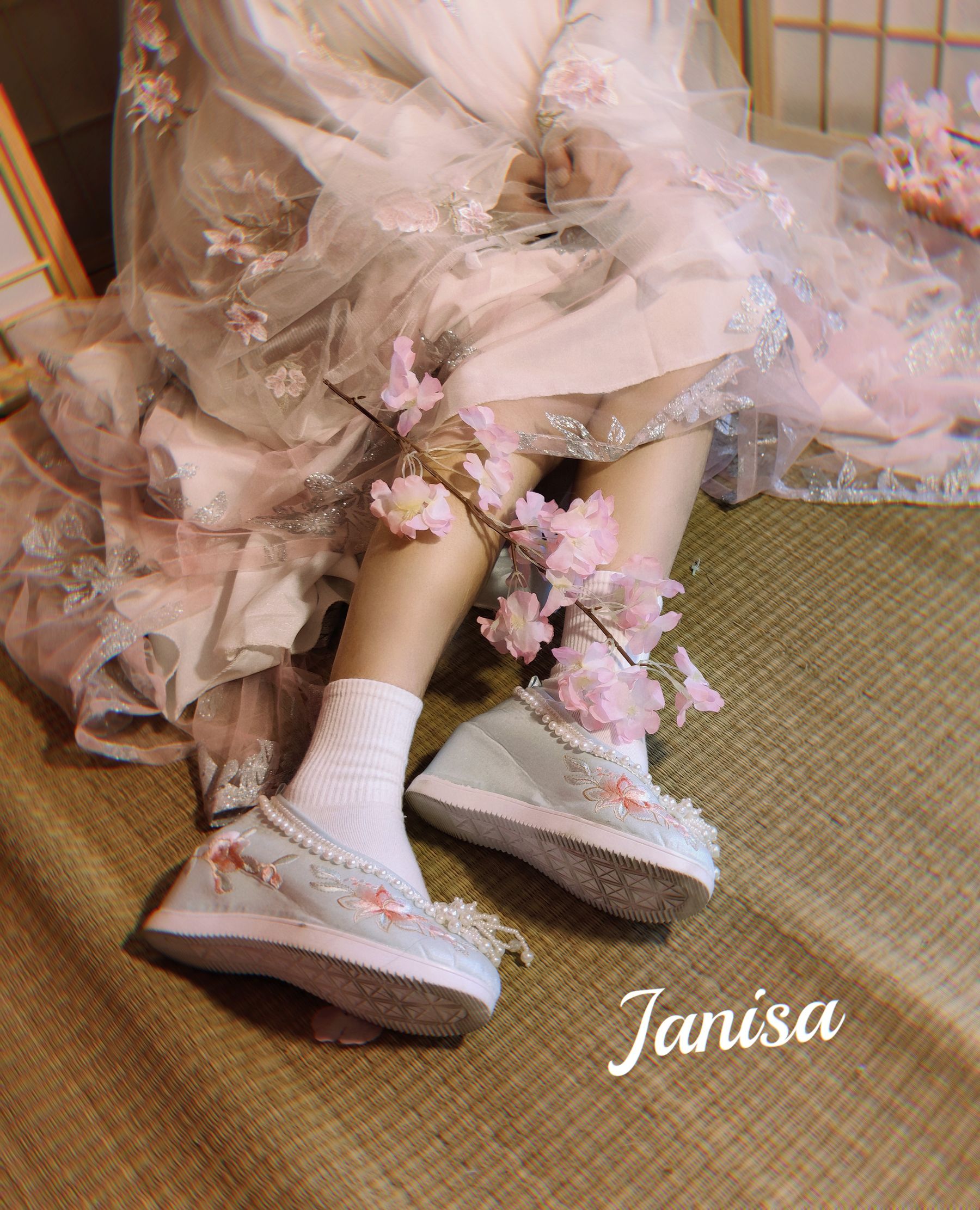 Janisa - 朝花向晚 