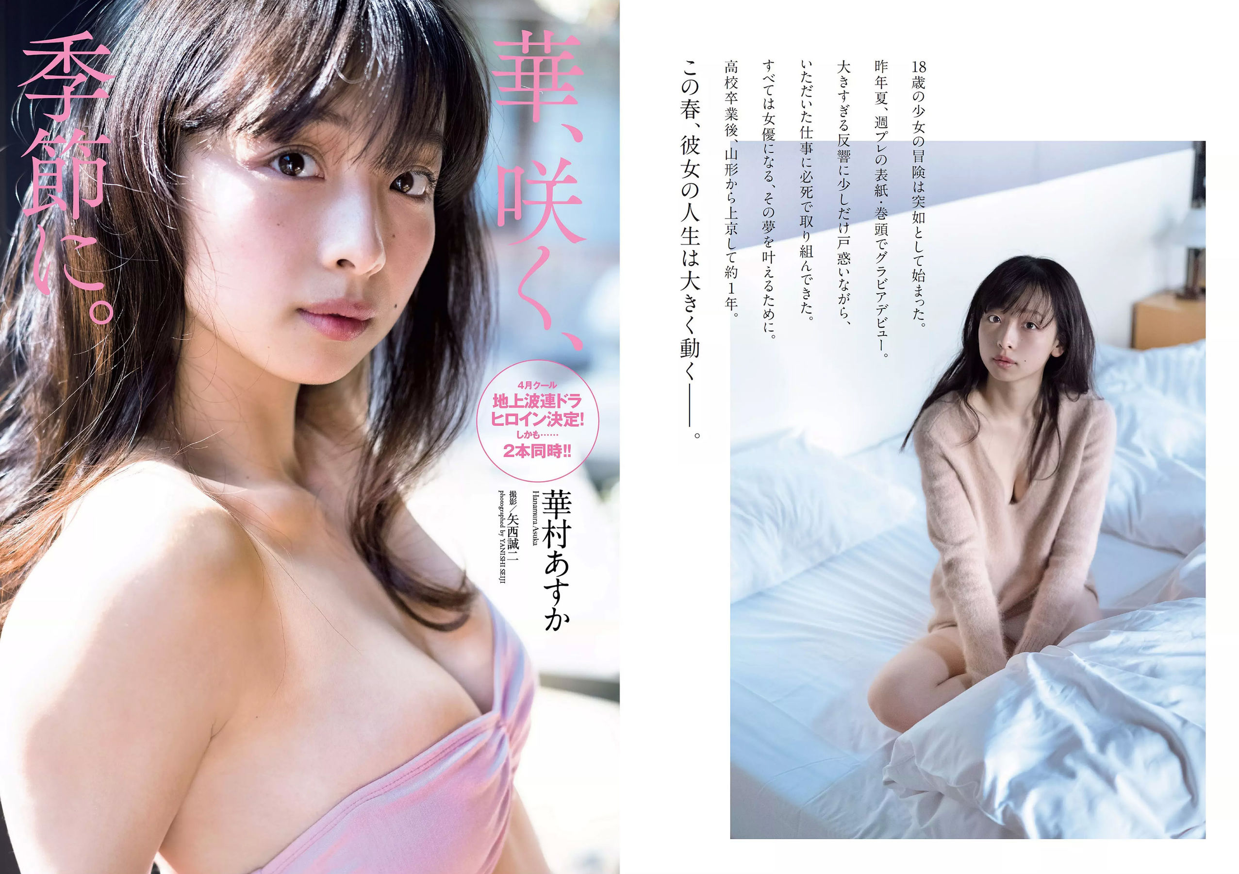 華村あすか 浅川梨奈 山本舞香 今田美桜 小坂菜緒 ☆HOSHINO [Weekly Playboy] 2018年No.12 写真杂志