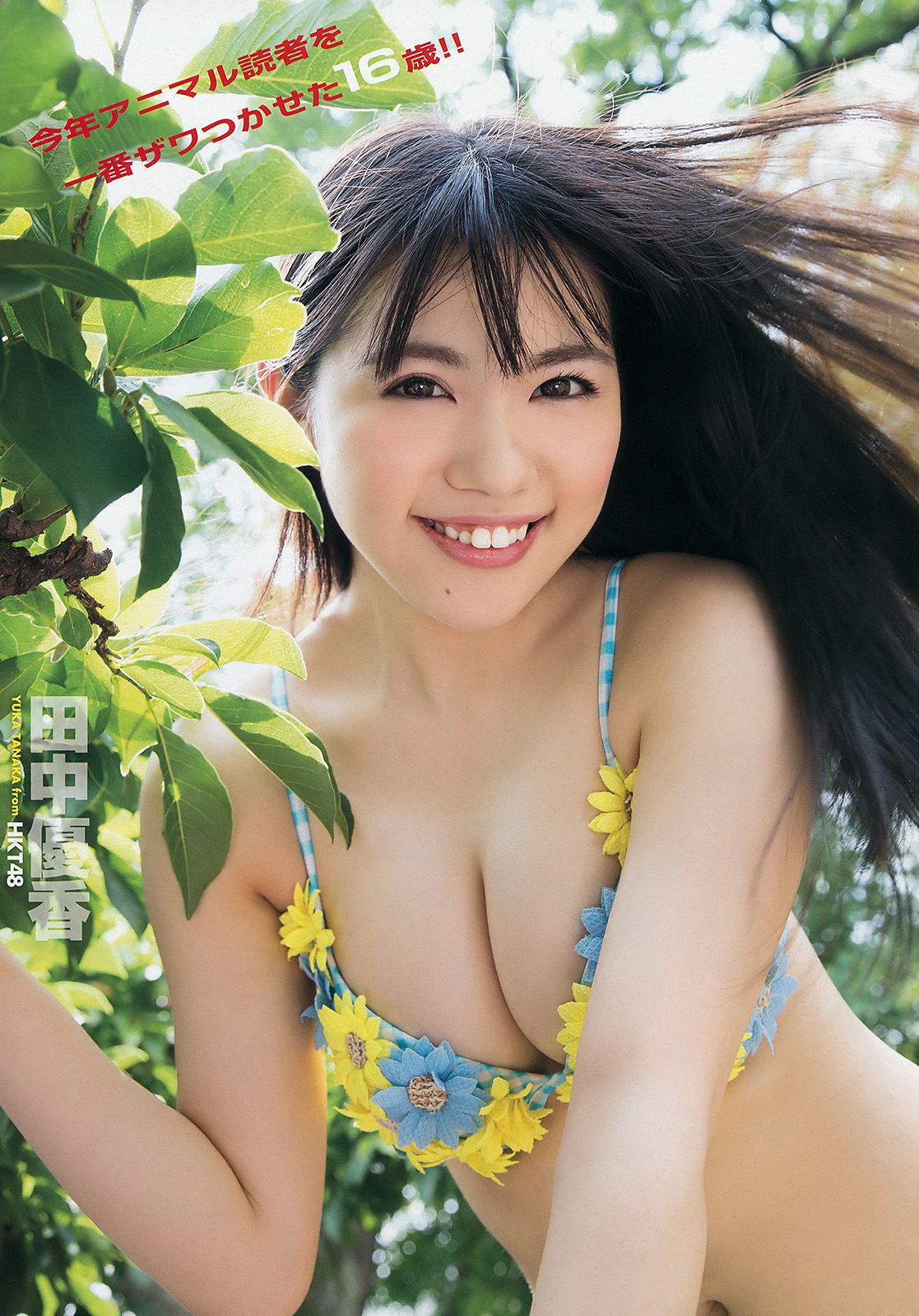 田中優香 深川舞子 [Young Animal] 2016年No.23 写真杂志