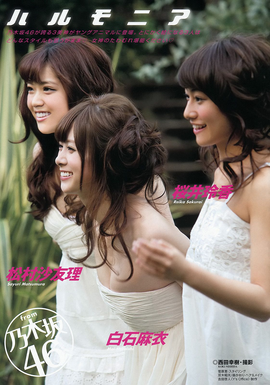 白石麻衣 桜井玲香 松村沙友理 須田亜香里 松村香織 [Young Animal] 2013年No.24 写真杂志