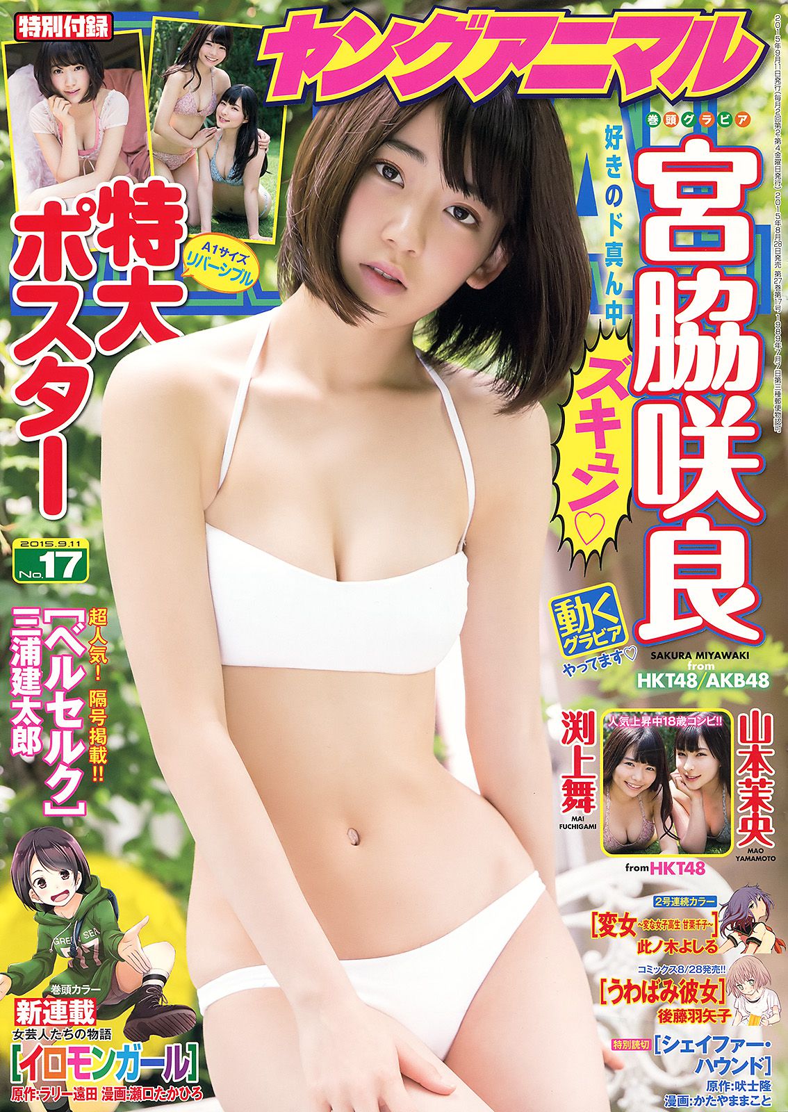 宮脇咲良 山本茉央 渕上舞 [Young Animal] 2015年No.17 写真杂志